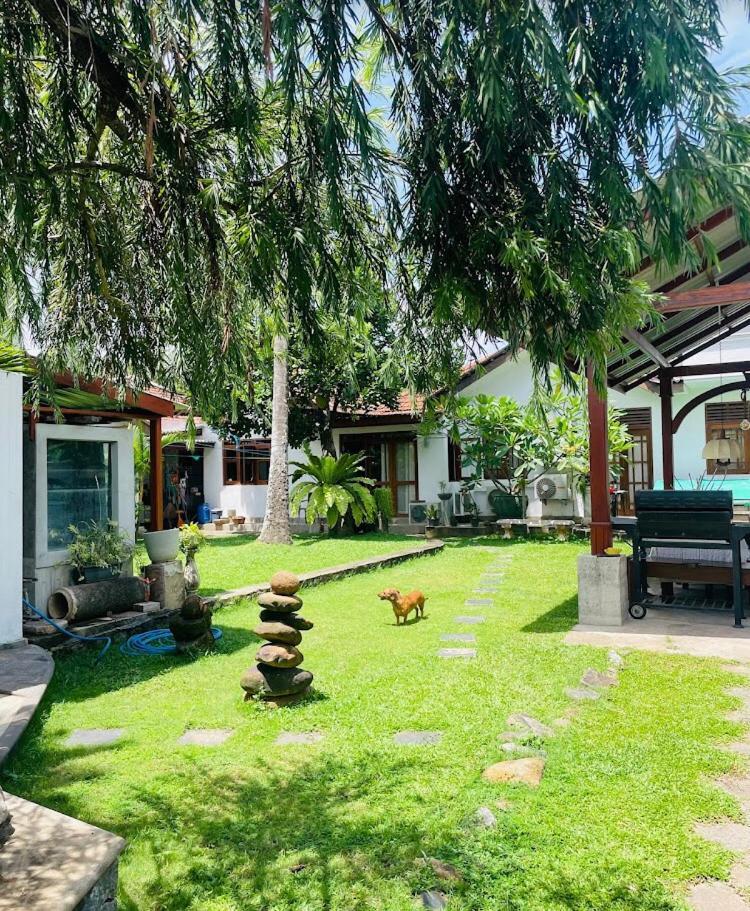 Ice Berg Apartment Dehiwala-Mount Lavinia Екстериор снимка