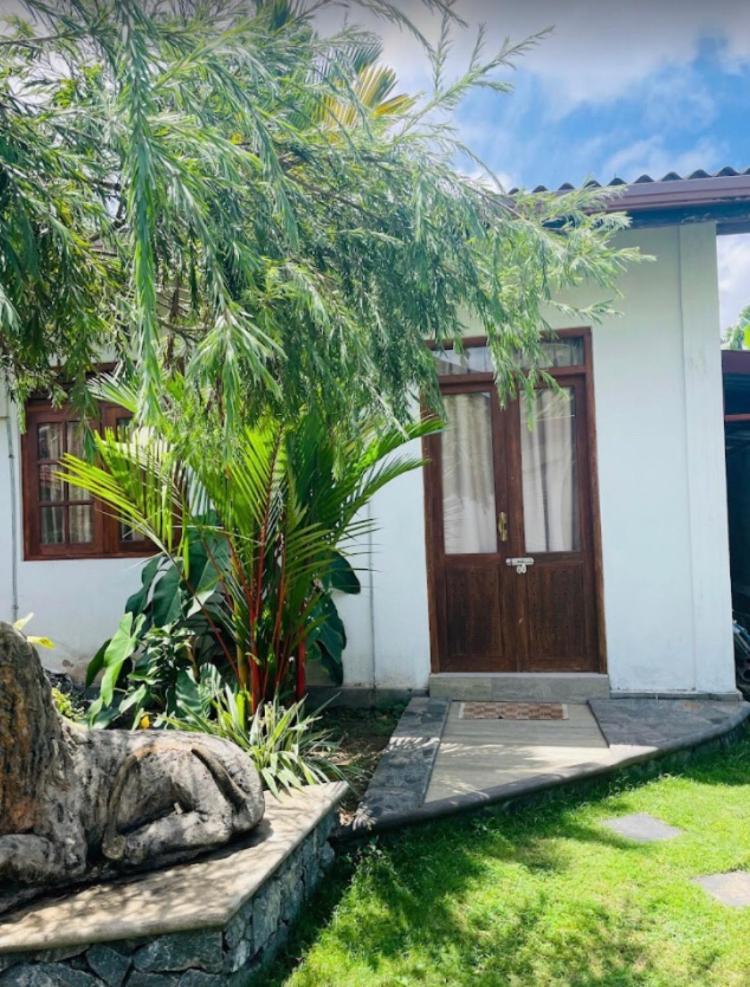 Ice Berg Apartment Dehiwala-Mount Lavinia Екстериор снимка